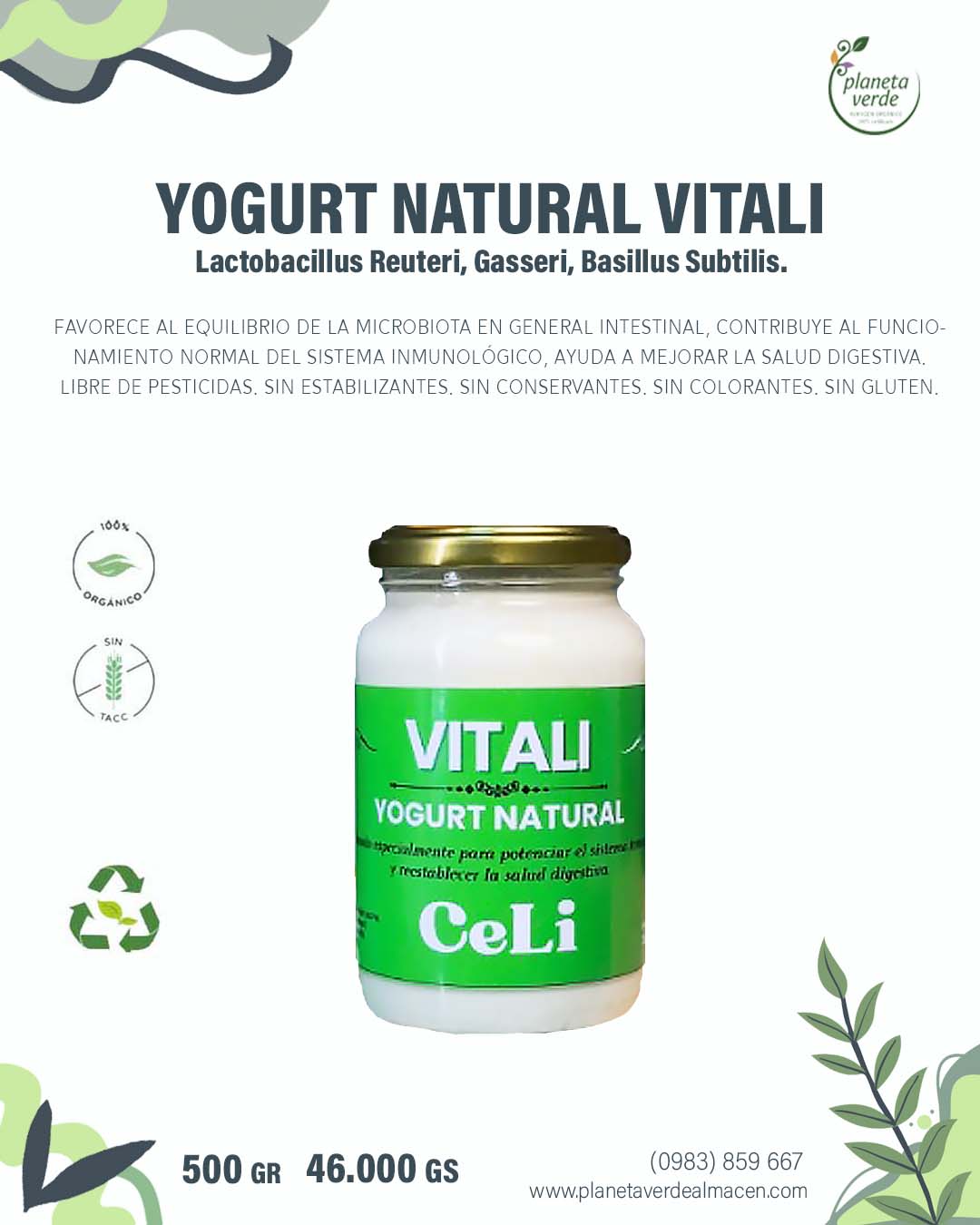 Yogurt Natural Vitali