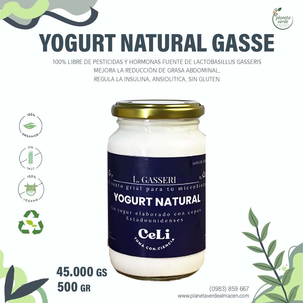Yogurt Natural Gasse