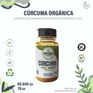 Cúrcuma Orgánica. Especiero