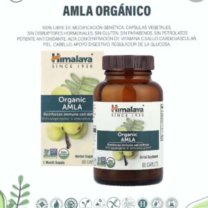 Amla Orgánico. x 60 Caps