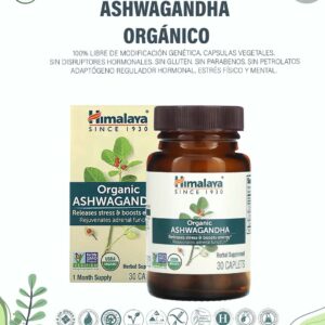 Ashawagandha Orgánico x 30 Caps