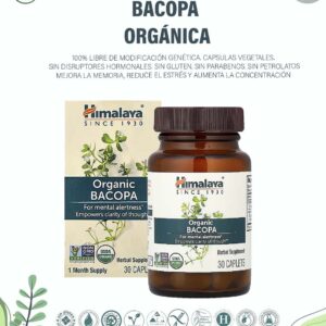 Bacopa Orgánica. x 30 Caps