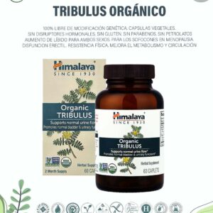 Tribulus Orgánico. x 60 Caps
