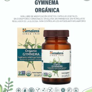 Gymnema Orgánica. x 90 Caps